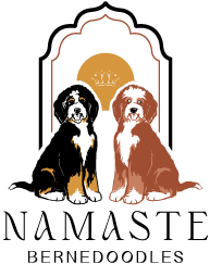 namaste bernedoodles texas logo