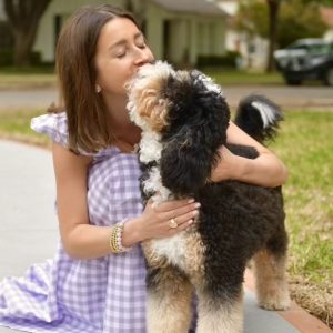 bernedoodle guardian home texas
